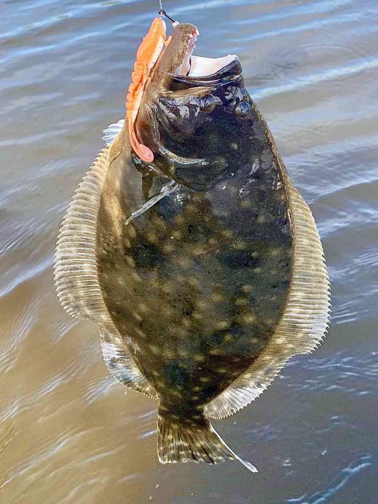 flounder fishing