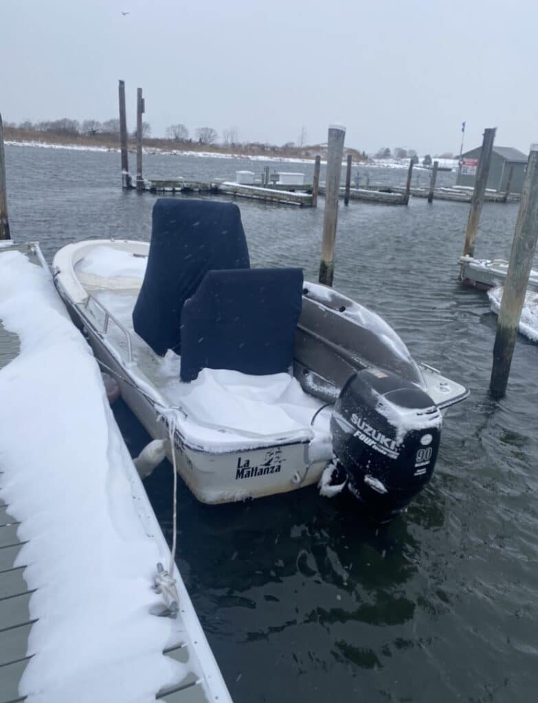 Maritime Skiff in Winter