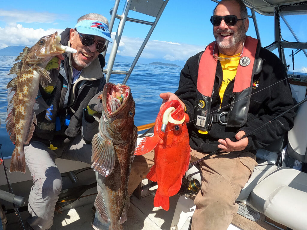 two ling cods and a vermilion rockfish