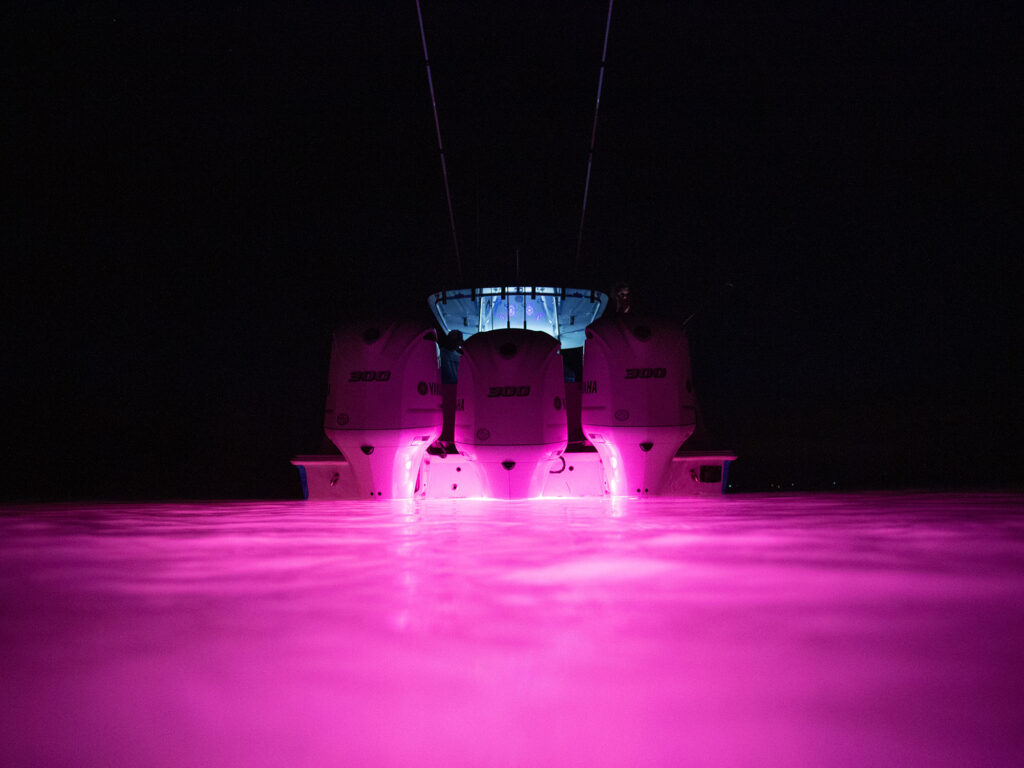 OceanLED lights on at night