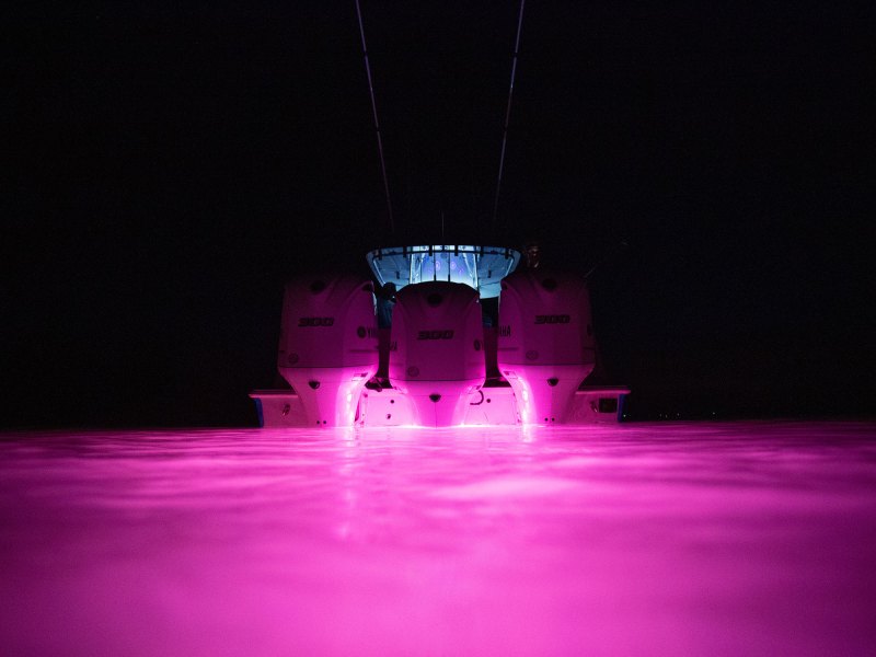 OceanLED lights on at night