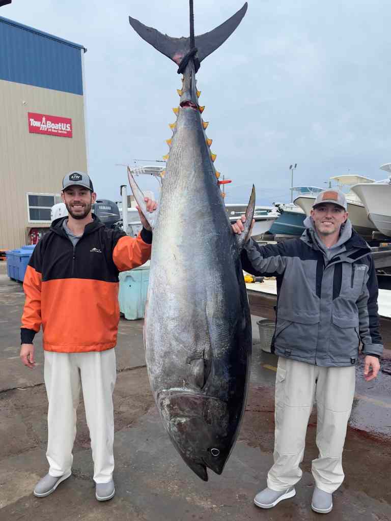 anglers with bluefin tuna