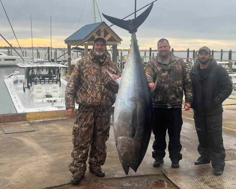 anglers with bluefin tuna