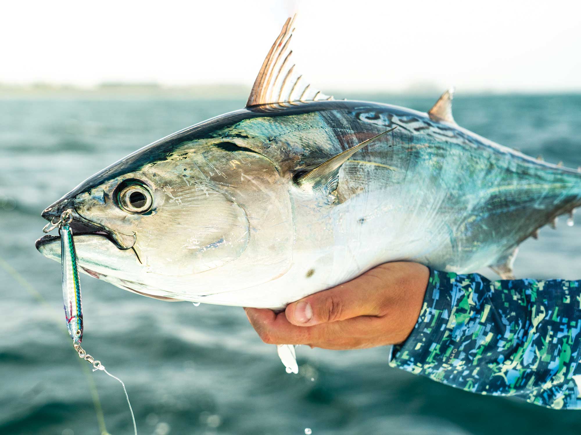 Offshore Jigging Tactics Salt Water Sportsman