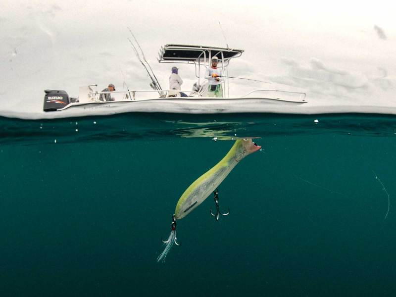 SWS124-Topwaters-1 Topwater lure being fished