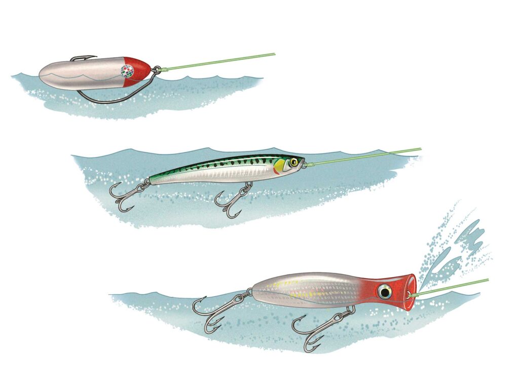 Different types of topwater lures