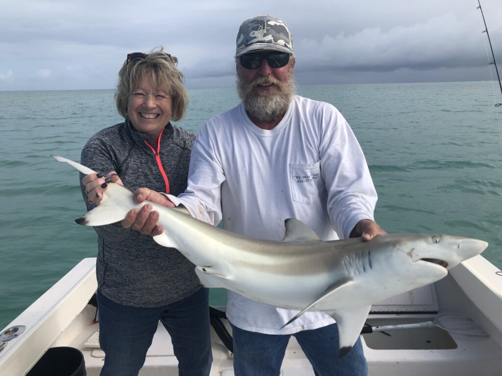 blacktip shark with anglers