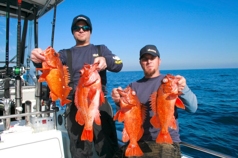 anglers with vermilion rockfish