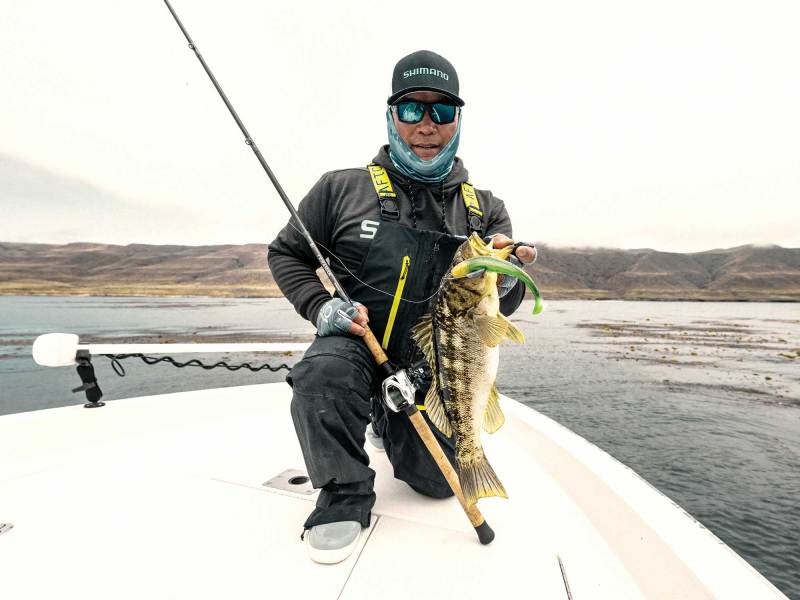 SWS324-Calico-Bass-1 Large calico bass on the boat