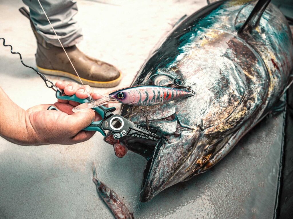 Danco pliers on a large tuna