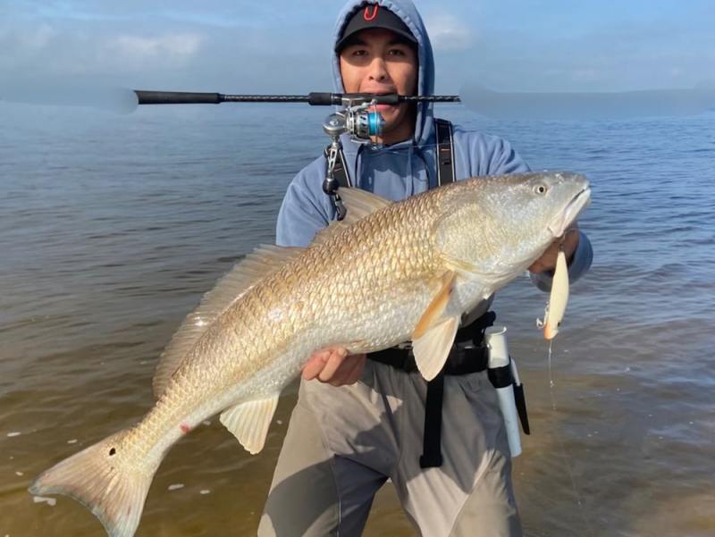 new-jersey-surf-redfish New jersey redfish caught on a Yo-Zuri