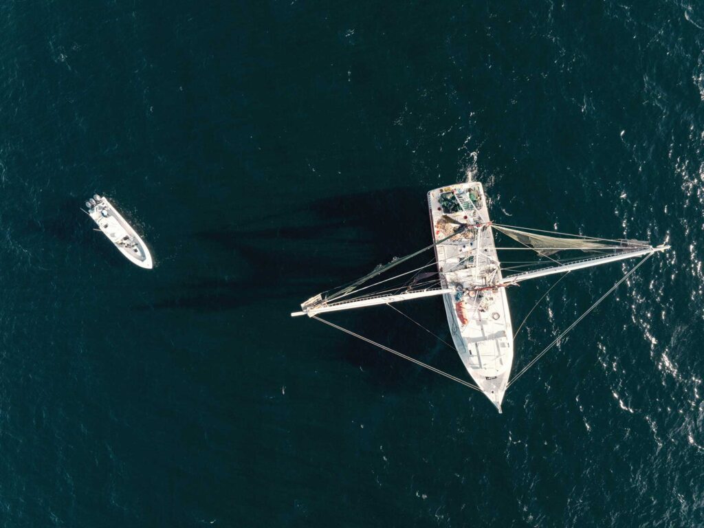 Tuna fishing around a shrimp boat
