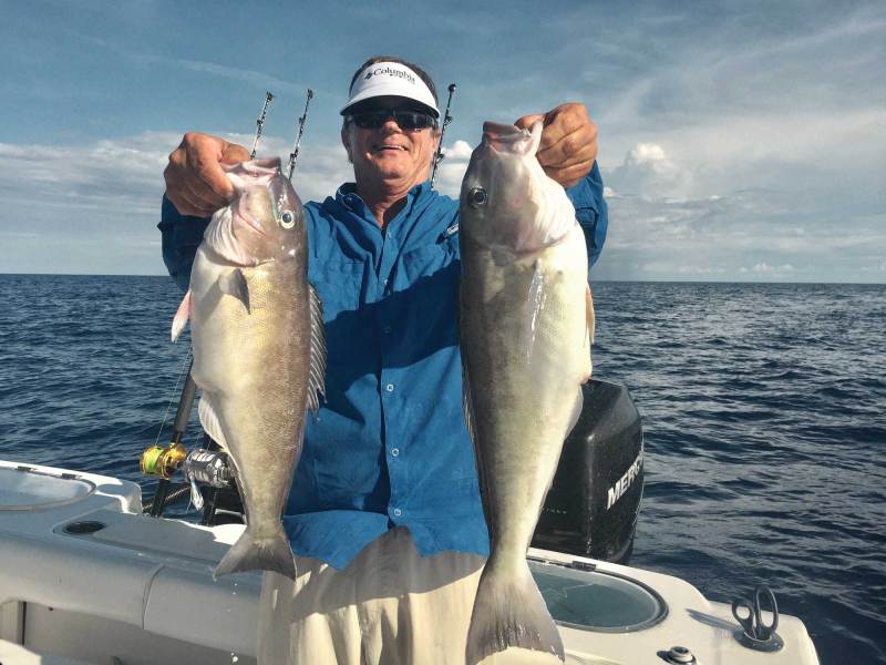 SWS626-TOTD-June Tilefish caught in the summer