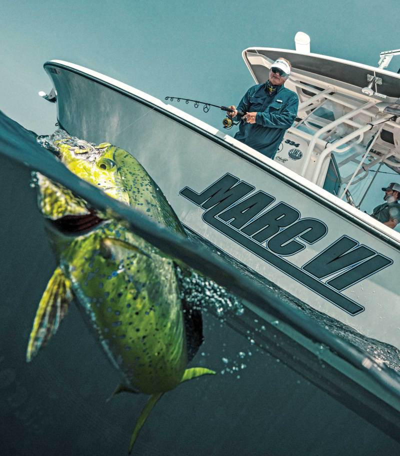 Mahi close to the boat