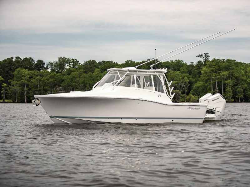 SWS924-Albemarle-30-1 Albemarle on the lake