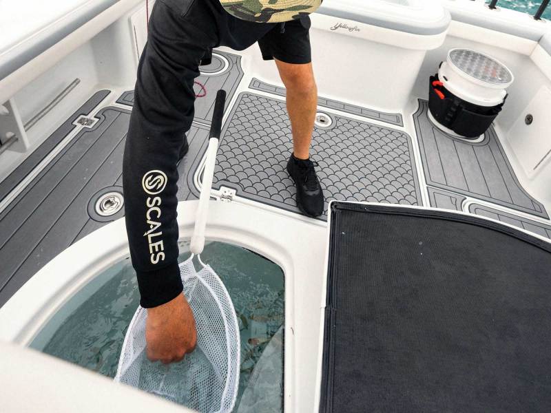 SWS924-Live-Bait-1 Angler getting bait from livewell