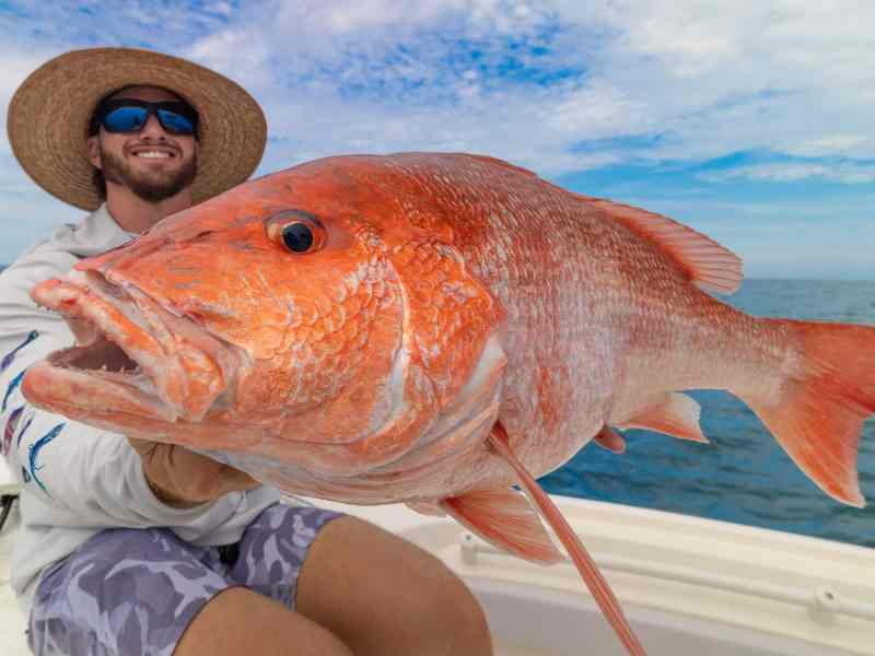 red-snapper An angler holds a red snapper.