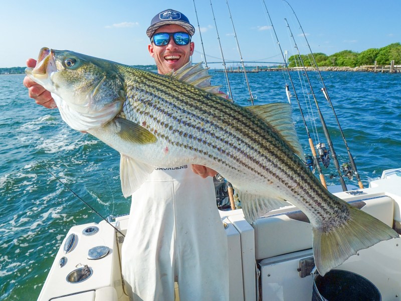 striped-bass-on-topwater Striped bass on topwater lure