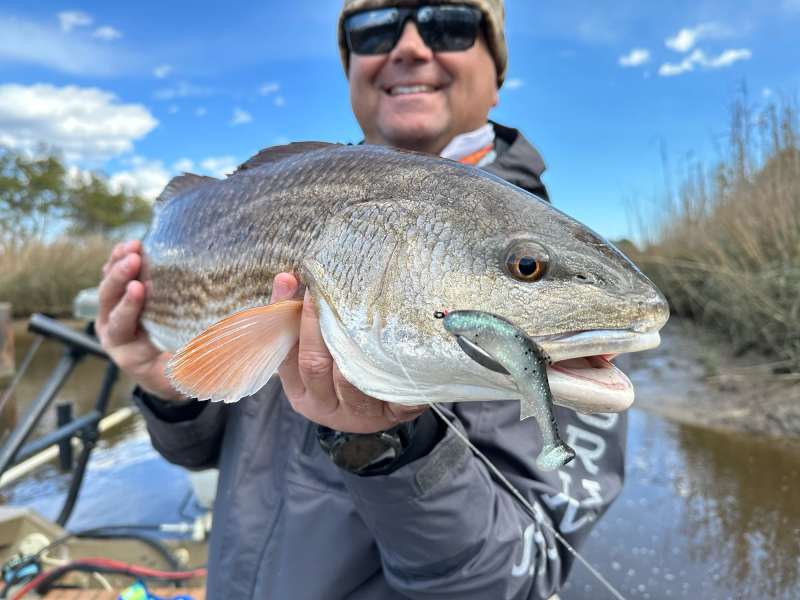 redfish-creeks creek fishing for redfish