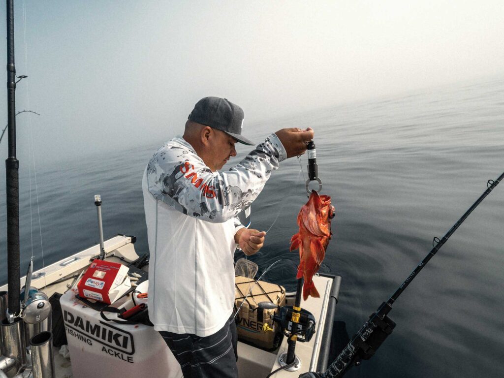 Using a descending device to release a rockfish