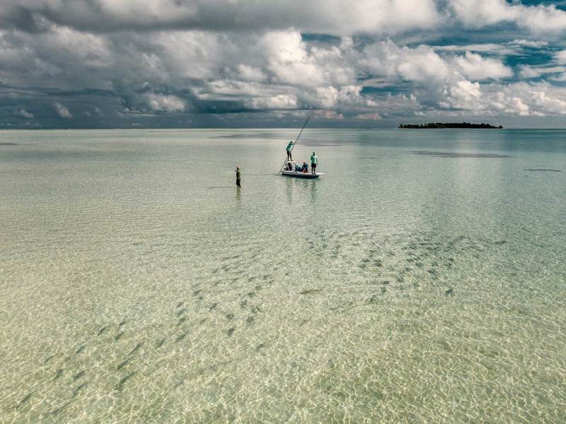 Poling for bonefish