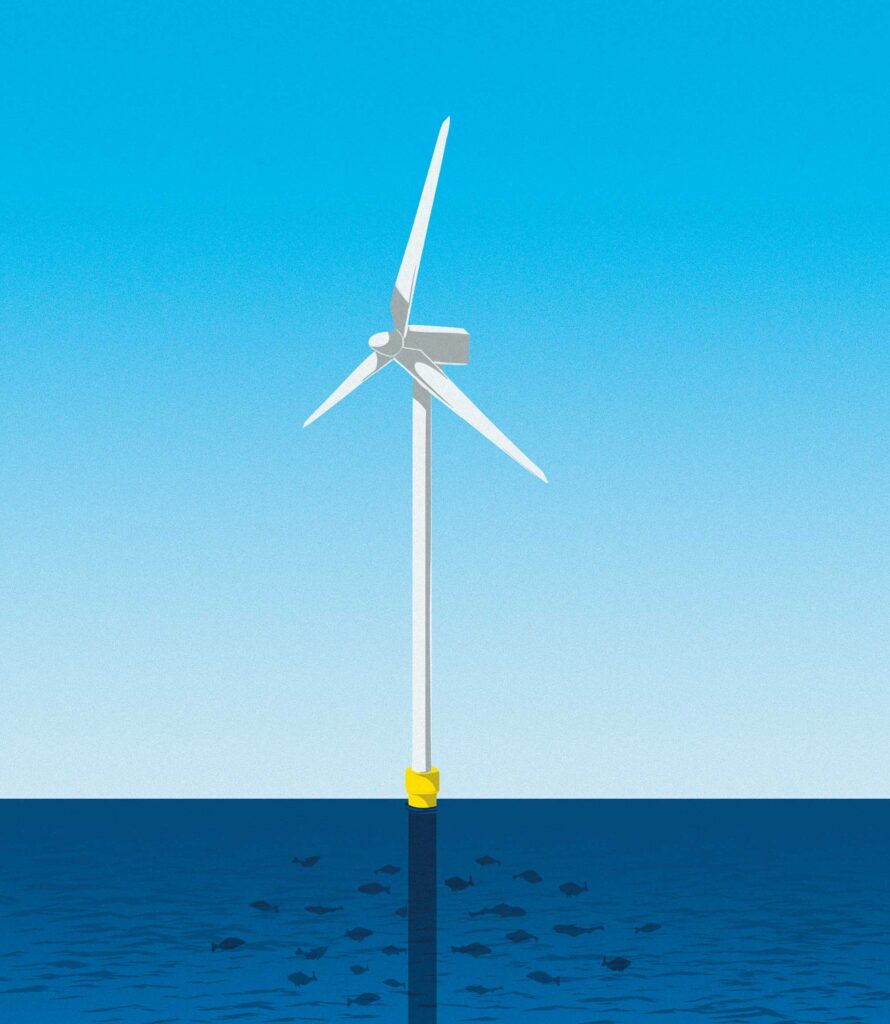 Wind farm artificial reef