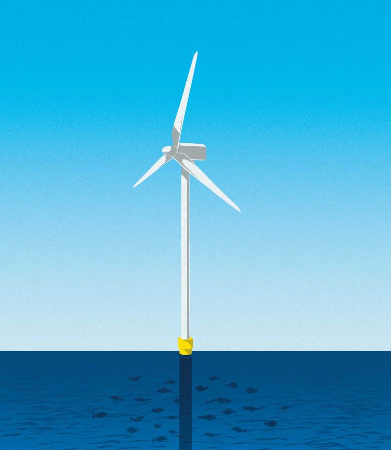 Wind farm artificial reef