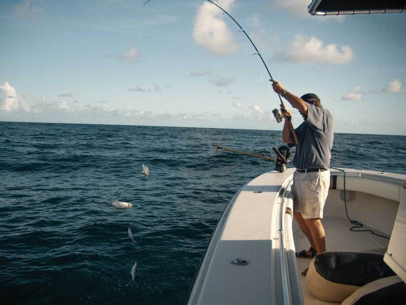 Sabiki rig for king mackerel
