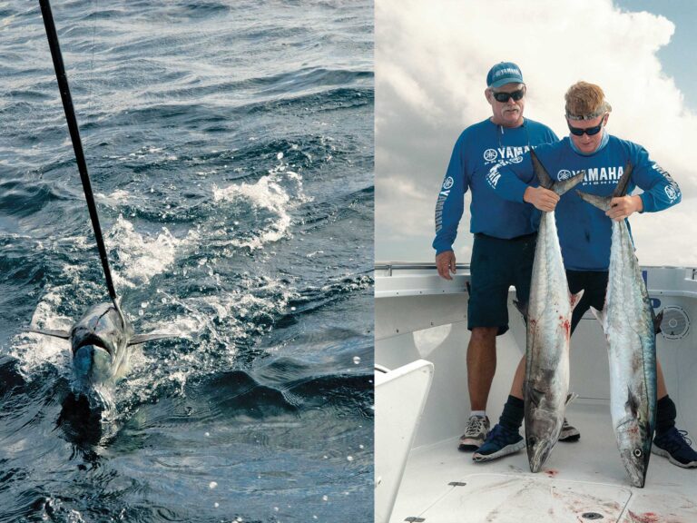 Reeling in a kingfish