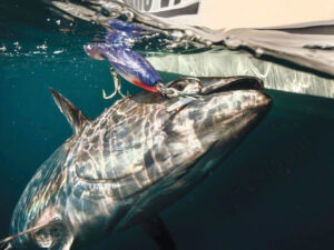 PR bobbin knot on a lure