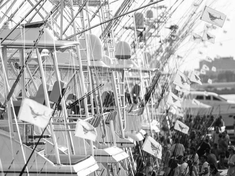 SWS425-SC-Bills-3 Fishing boats with sailfish flags