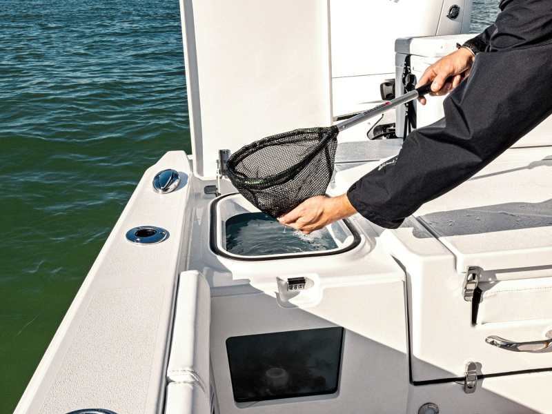 Blackfin 262 HB livewell