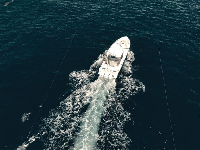 Trolling for fish