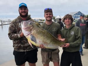 Delaware state record golden tilefish