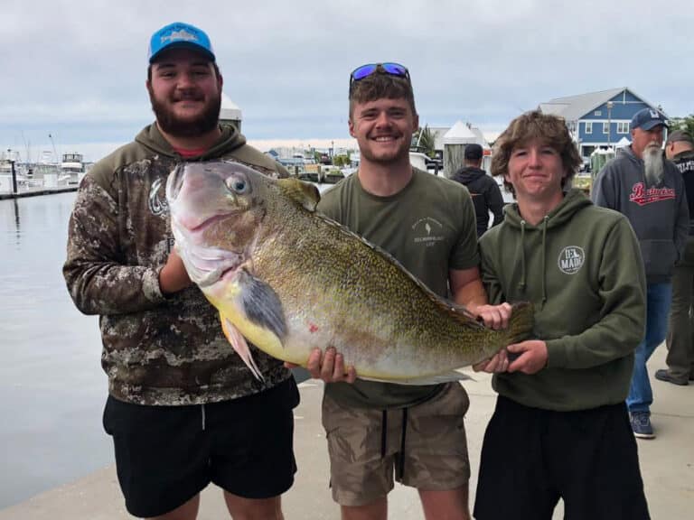 Delaware state record golden tilefish