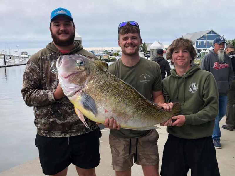 499960718_736767592251565_5198984532479064192_n Delaware state record golden tilefish