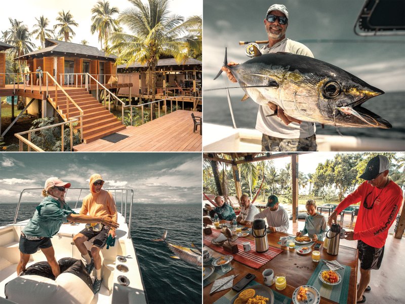 Fish caught near the Darién Lodge