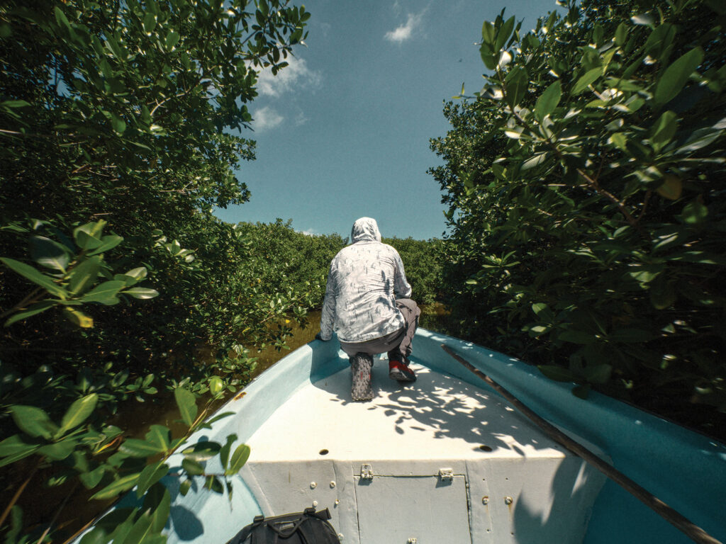 Running a panga through the mangroves