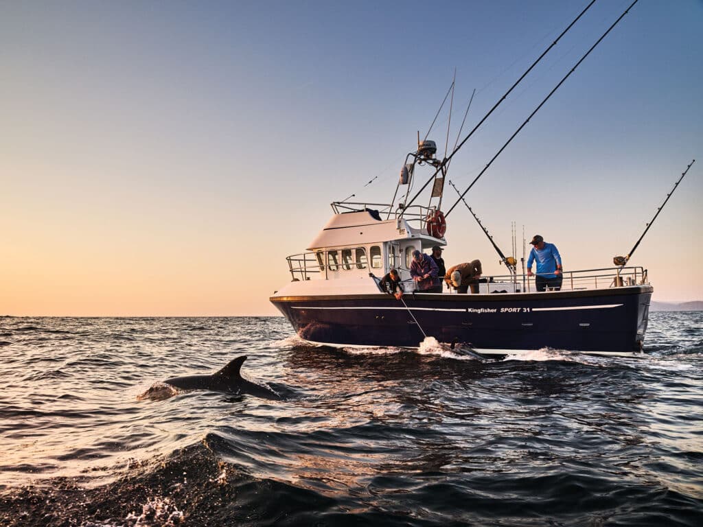 Dolphin near a tuna fishing boat