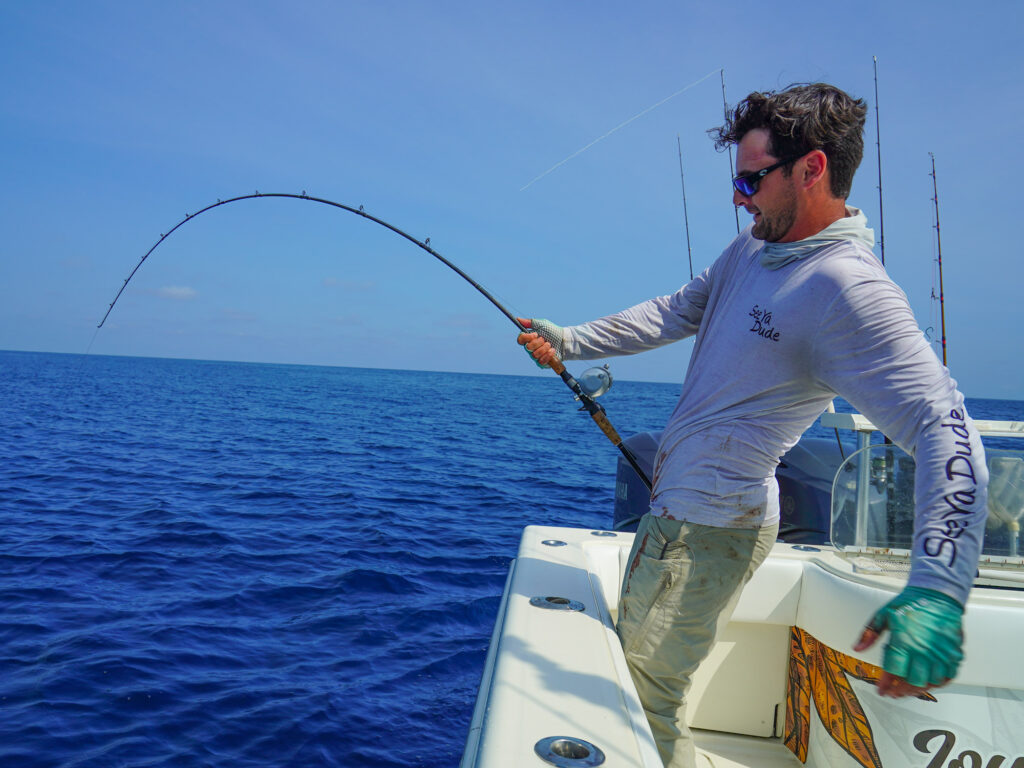 Fighting a Gulf red grouper.