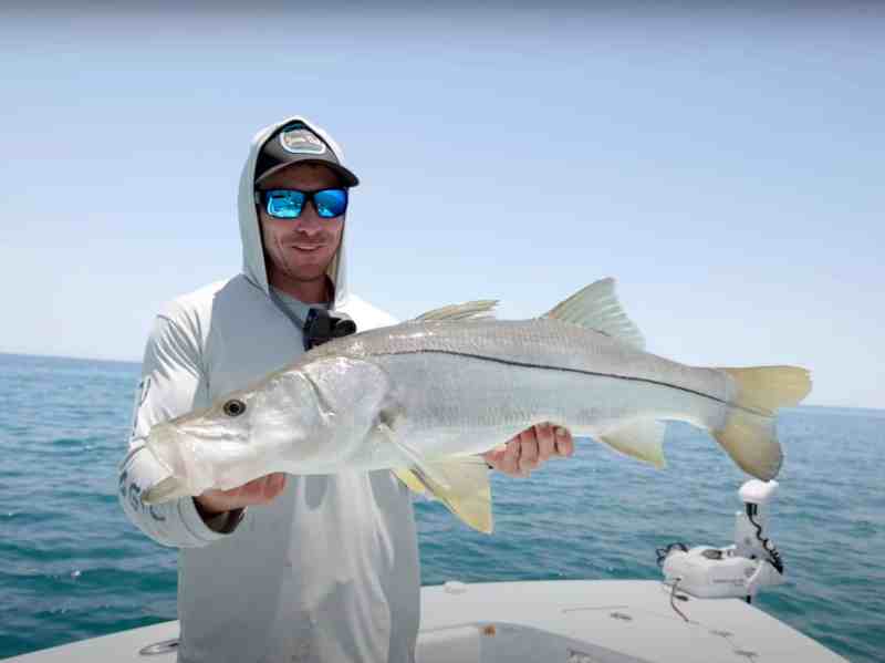 SWS825-Adventures-South-Florida Snook caught in South Florida