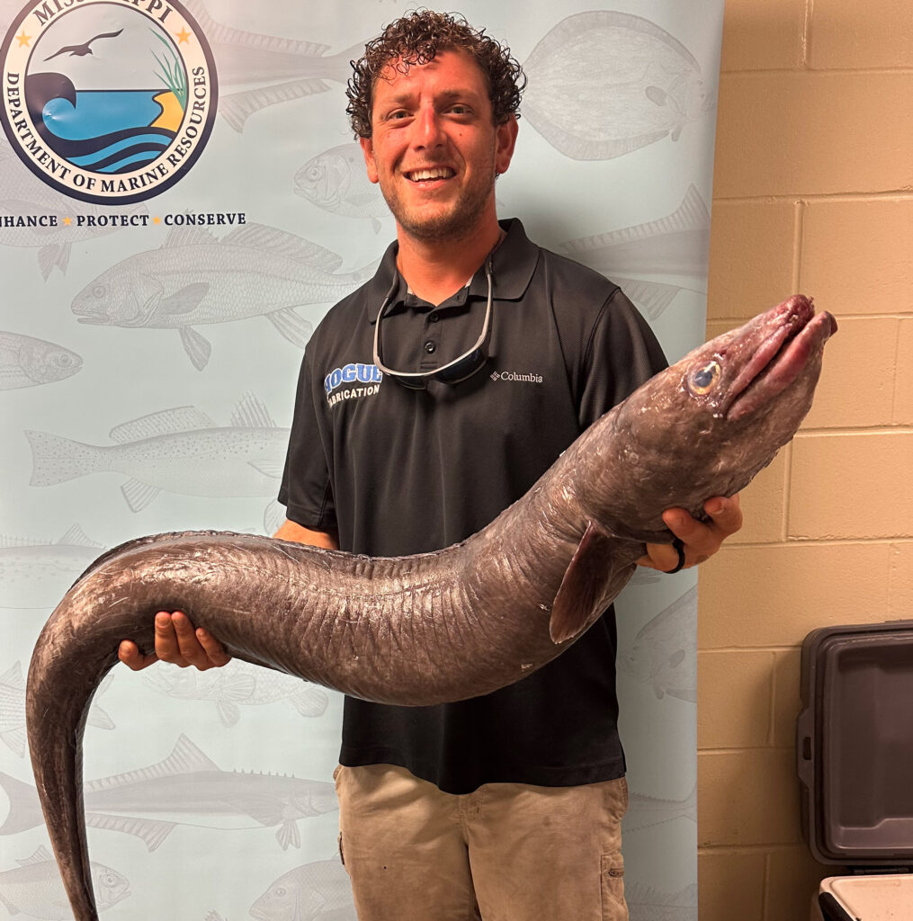 Mississippi state record conger eel.