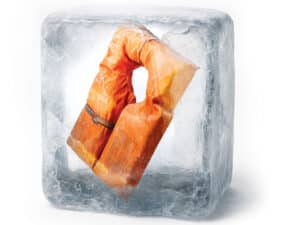 Life jacket in an ice block