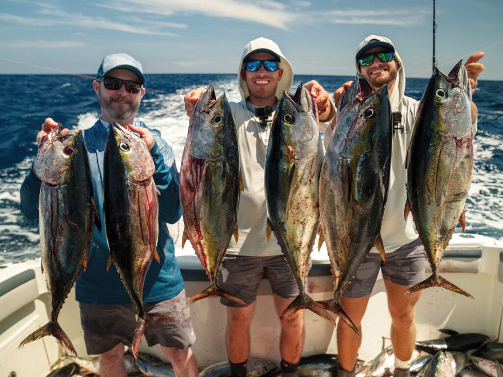 Multiple tuna on the boat