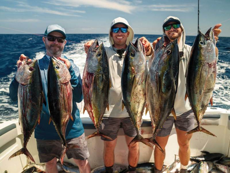 Multiple tuna on the boat