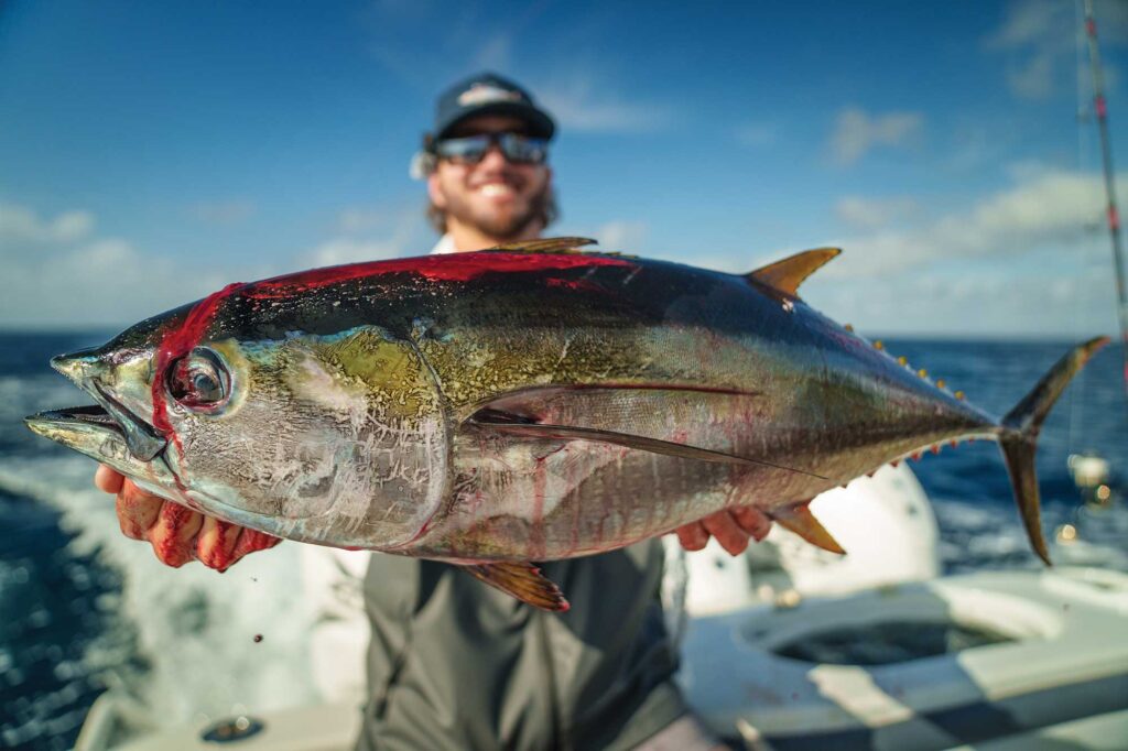 Tuna on the boat