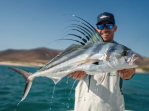 Roosterfish caught in the Sea of Cortez