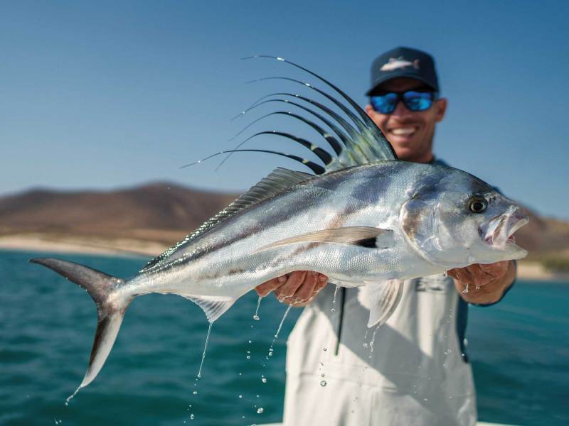 SWS925-Cabo-9 Roosterfish caught in the Sea of Cortez