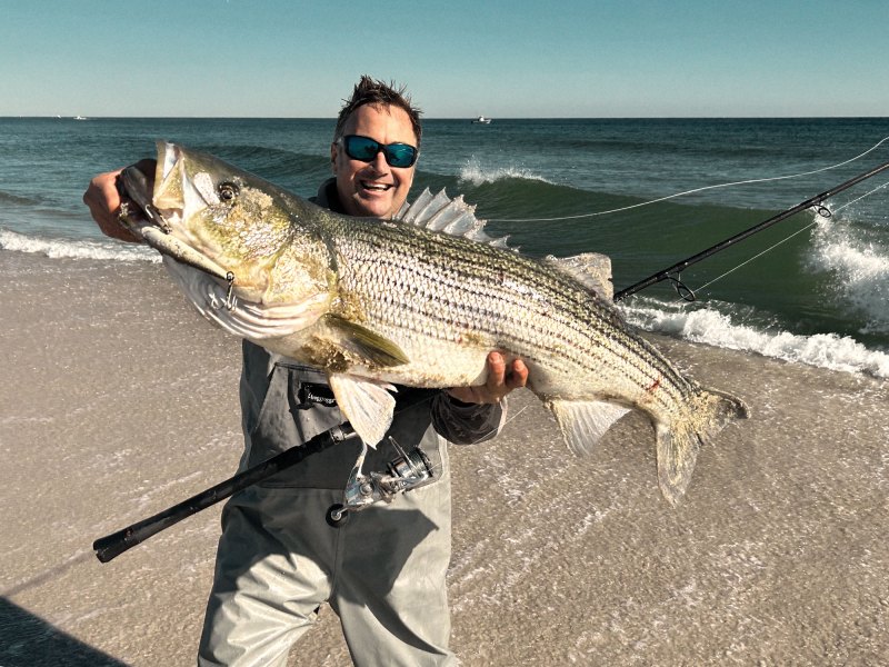 SWS925-Fall-Striper-1 Large striped bass caught in the surf