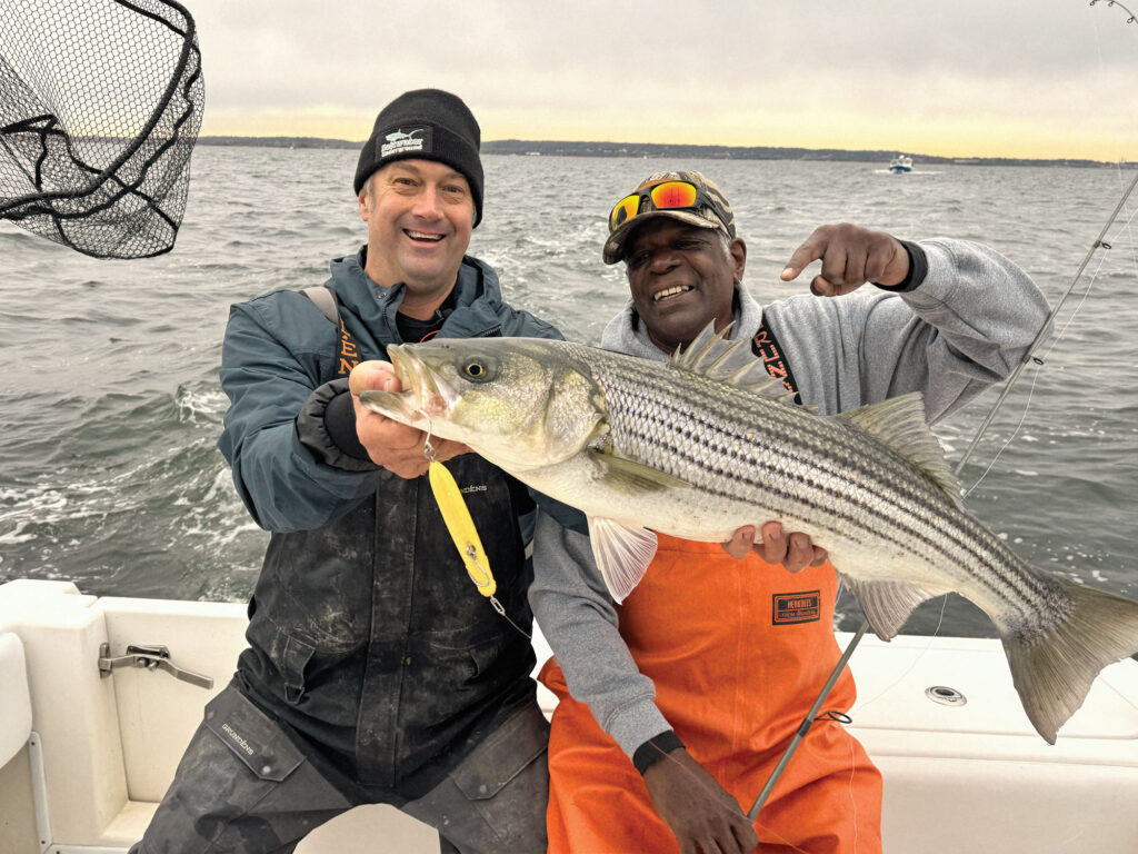 Striped bass on the boat